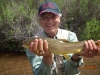          Beautiful Brown Trout - Freemont River 09 